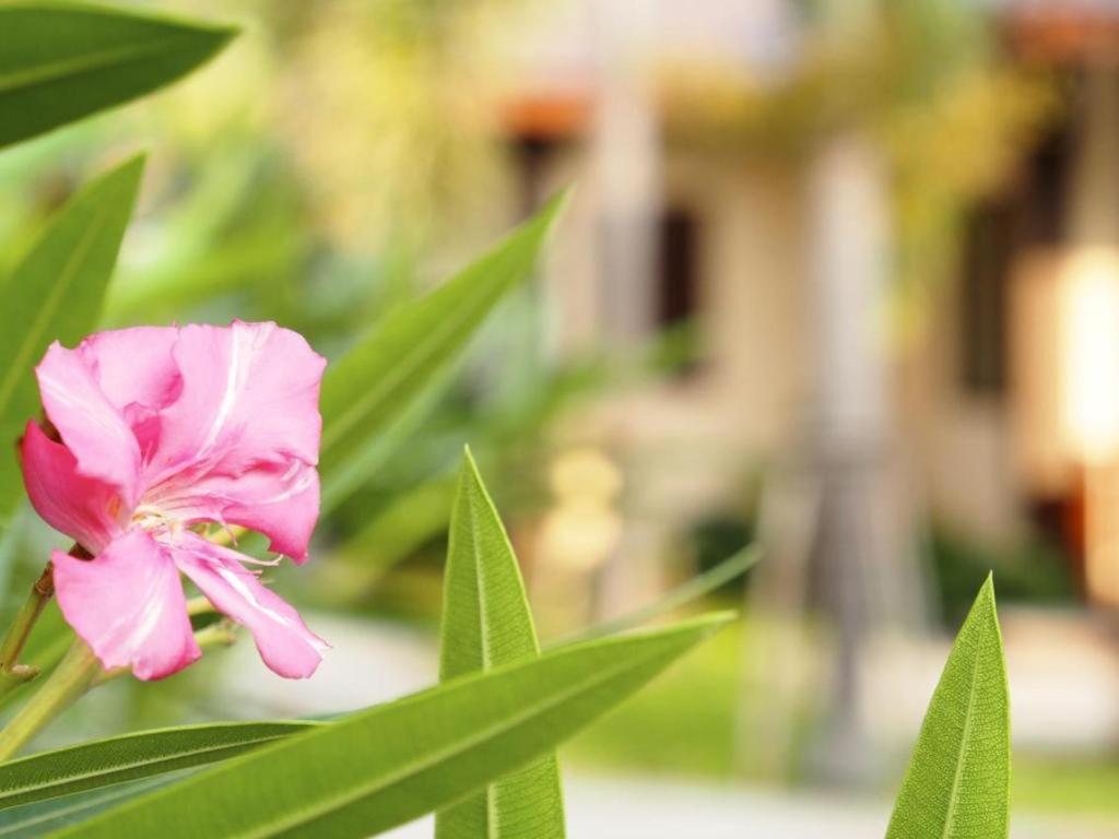 Rose Bay Resort Pattaya Luaran gambar